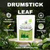 Drumstickleaf-Powder