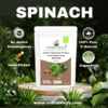 Spinach-Powder